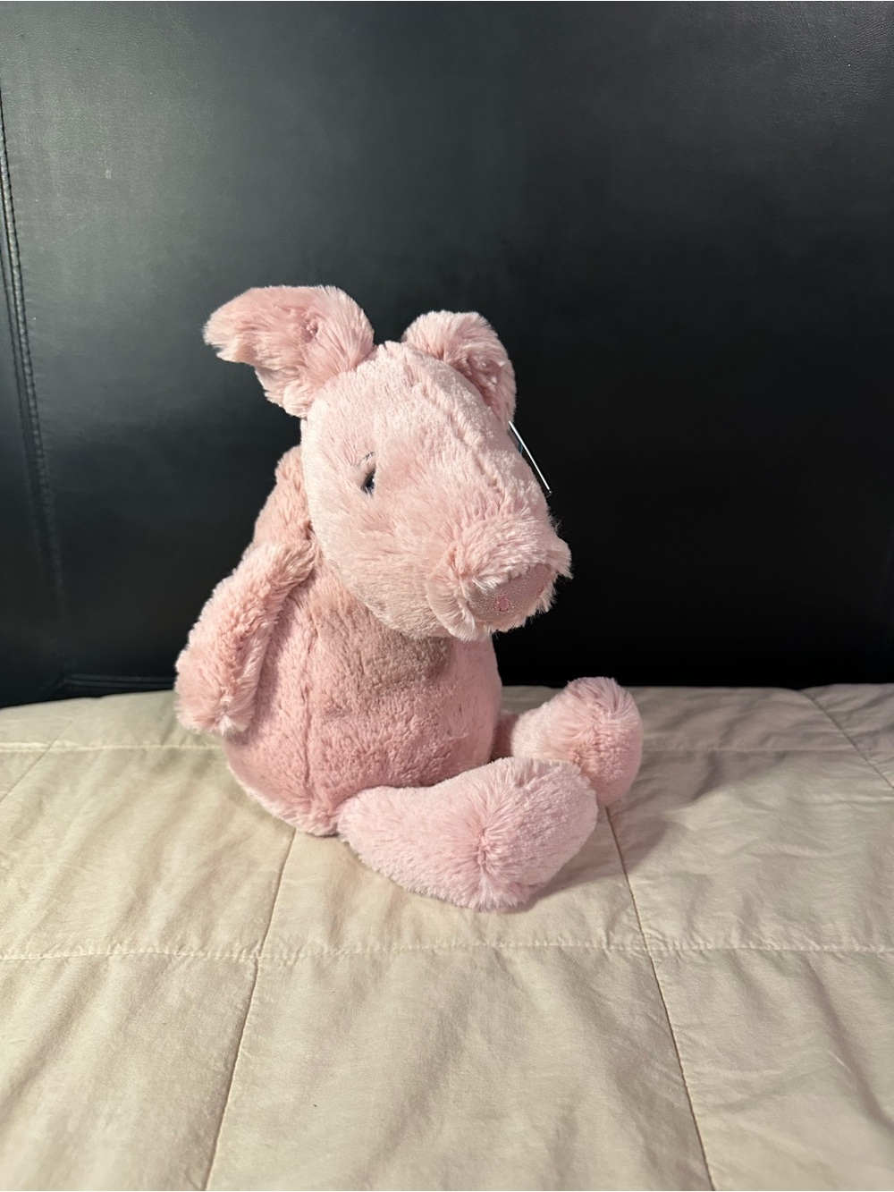 Jellycat Rumpa Pig - Picture 2 of 6